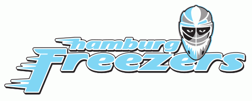 hamburg freezers 2002-pres primary logo iron on transfers for clothing